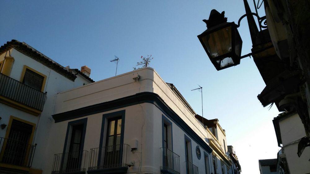 Hostal Azahar Córdoba Exteriér fotografie