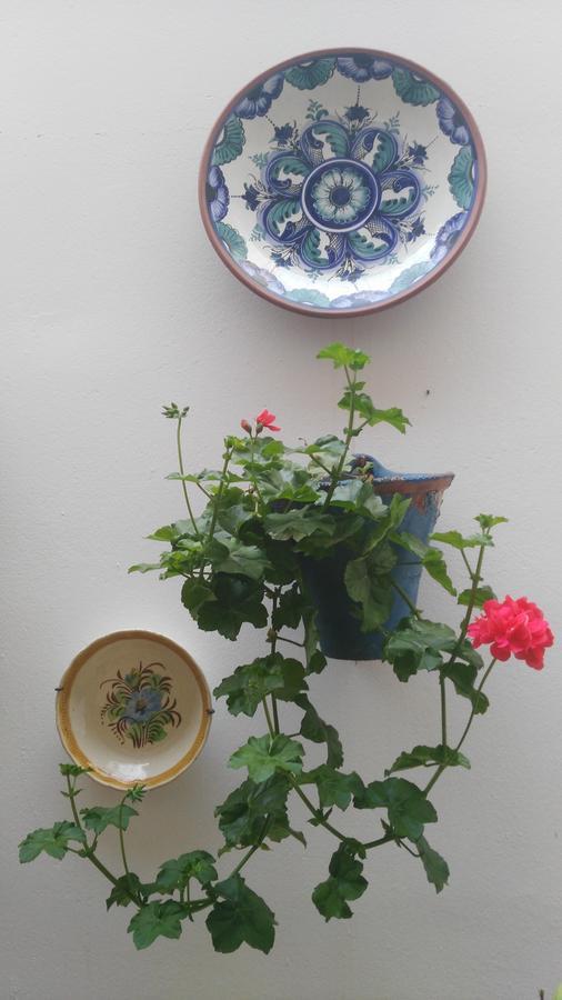 Hostal Azahar Córdoba Exteriér fotografie